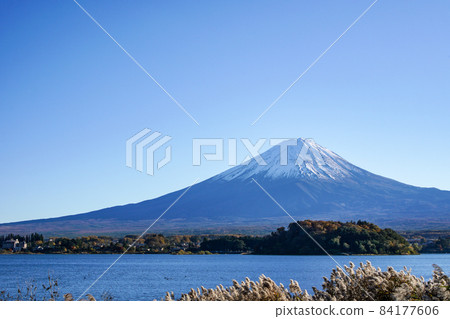 Mt. Fuji from Oishi Park, Lake Kawaguchi, Yamanashi Prefecture 84177606
