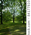 Park in Berlin 84177810