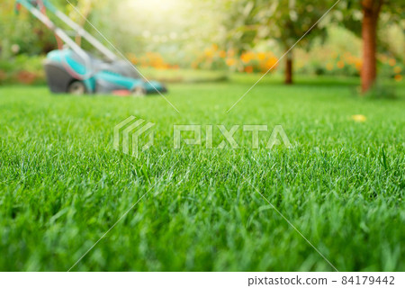 Lawn mower on grass closeup view. Lawn care concept Lawn mower on grass closeup view. Lawn care concept 84179442