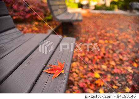 Fallen leaves park bench in late autumn 84180140