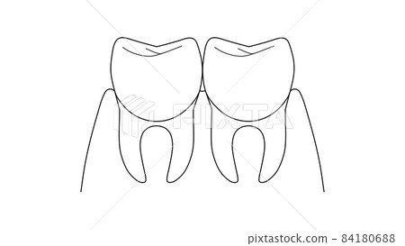 Slightly lowered gums and two teeth (line drawing) Slightly lowered gums and two teeth (line drawing) 84180688