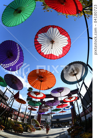 Kasama Chrysanthemum Festival Umbrella Sky Kasama Chrysanthemum Festival Umbrella Sky 84180723