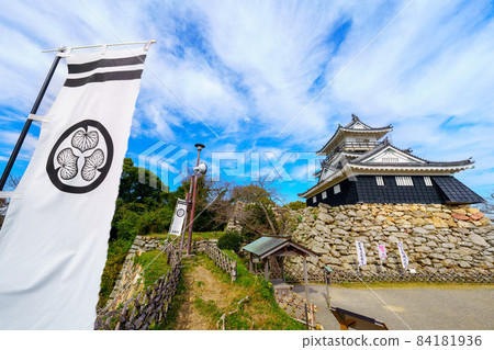 Hamamatsu Castle 84181936