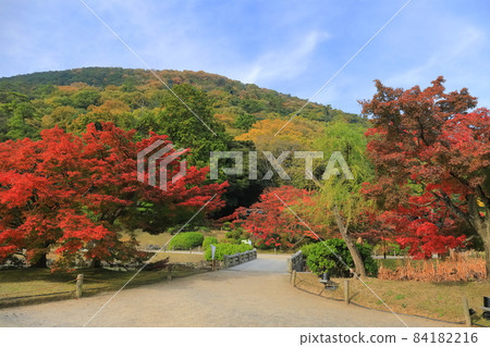 [香川縣]栗林庭園枕流亭的秋葉 84182216