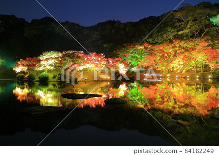 [香川縣]栗林庭園的紅葉 84182249