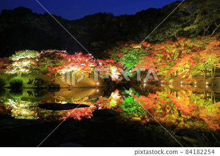 [香川縣]栗林庭園的紅葉 84182254