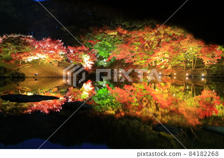[Kagawa Prefecture] Autumn leaves lit up in Ritsurin Garden 84182268