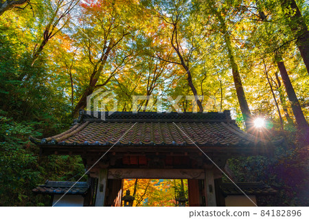 Korankei Gorge in Autumn, Sanmon Gate of Kojakuji Temple <Toyota City, Aichi Prefecture> 84182896