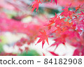 Autumn leaves of Mt. Kompira 84182908
