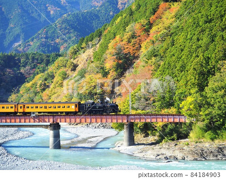 靜岡縣大井川4號橋秋葉和SL十一月 84184903
