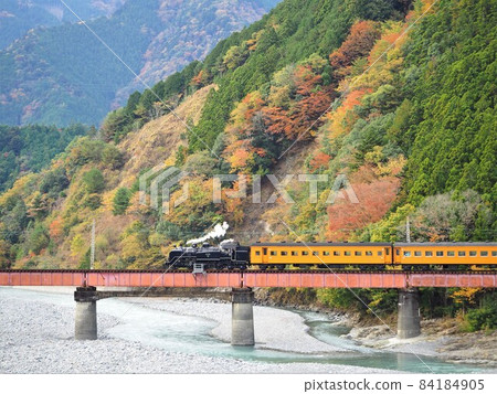 靜岡縣大井川4號橋秋葉和SL十一月 84184905