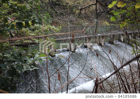 綠黃葉尖有冬枯枝、小水壩、池塘、籬笆和各種樹木的山巒景觀 84185086