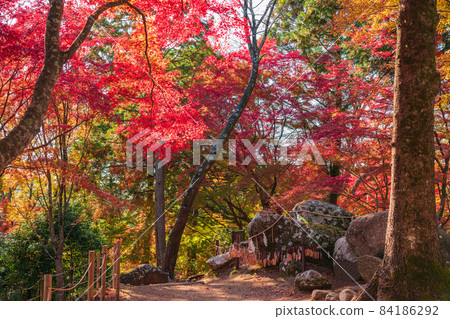 Korankei Gorge in autumn, the summit of Mt. Iimori <Toyota City, Aichi Prefecture> Korankei Gorge in autumn, the summit of Mt. Iimori <Toyota City, Aichi Prefecture> 84186292