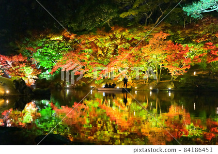 Night view of autumn leaves at Ritsurin Garden in Takamatsu City, Kagawa Prefecture, Shikoku 84186451