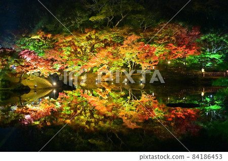 Night view of autumn leaves at Ritsurin Garden in Takamatsu City, Kagawa Prefecture, Shikoku 84186453