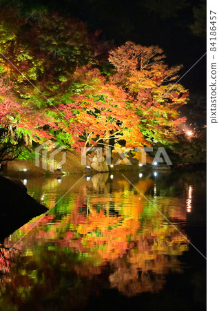 四國香川縣高松市栗林庭園秋葉夜景 84186457