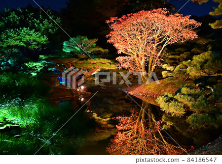Night view of autumn leaves at Ritsurin Garden in Takamatsu City, Kagawa Prefecture, Shikoku Night view of autumn leaves at Ritsurin Garden in Takamatsu City, Kagawa Prefecture, Shikoku 84186547