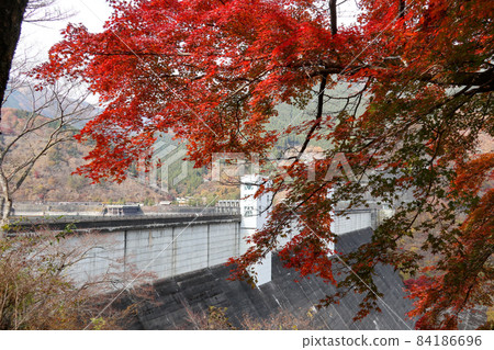 Ogochi Dam and Autumn Leaves (Okutama Town, Tokyo, November 2021) Ogochi Dam and Autumn Leaves (Okutama Town, Tokyo, November 2021) 84186696