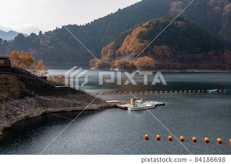 Ogochi Dam and Autumn Leaves (Okutama Town, Tokyo, November 2021) Ogochi Dam and Autumn Leaves (Okutama Town, Tokyo, November 2021) 84186698