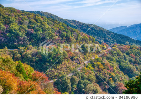 伊吹山車道 絕景 2021年秋景 伊吹山車道 絕景 2021年秋景 84186980