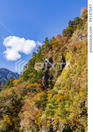[Natural landscape] Around Keyakidaira, Kurobe Gorge 84187847