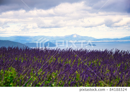 琵琶湖函館山，絕景 84188324