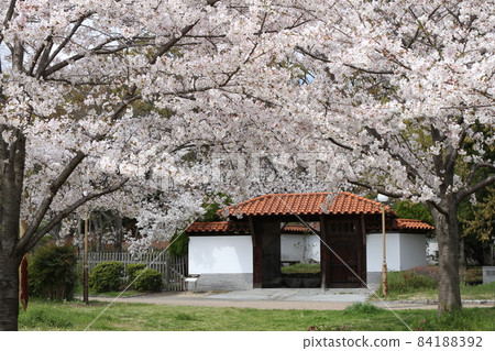 鶴見綠地的“國際花園”，花卉博覽會紀念公園（保加利亞） 84188392
