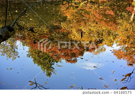 水面的風景 水面的風景 84188575