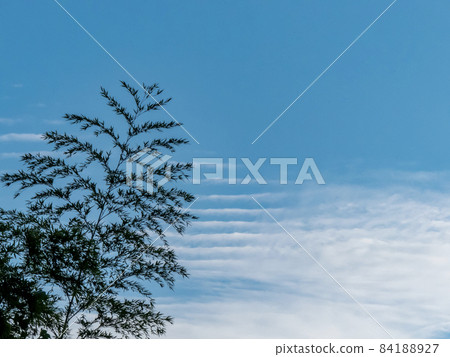 Autumn sky sky Autumn sky sky 84188927