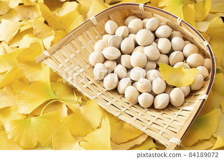 放在銀杏落葉上的濾器中的銀杏果 84189072