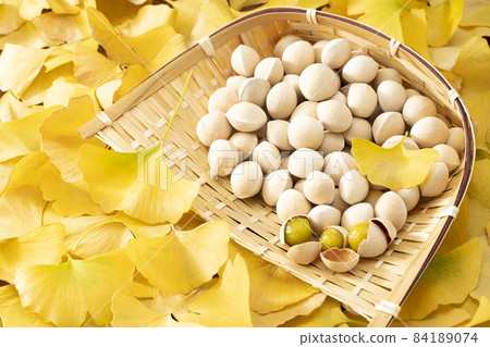 ginkgo biloba nut