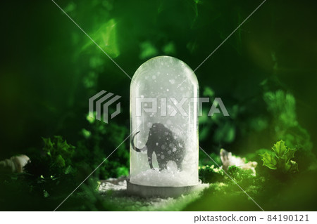 mammoth in the snow in a cloche. surrounded by green plants mammoth in the snow in a cloche. surrounded by green plants 84190121