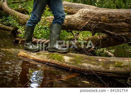 A man in rubber boots walks along a fallen tree A man in rubber boots walks along a fallen tree 84191754