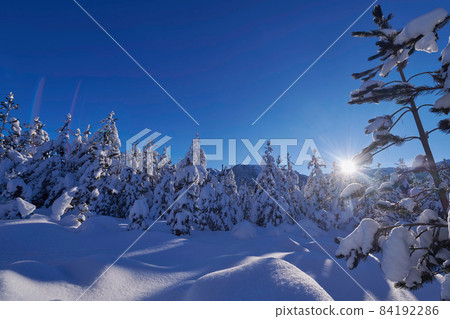 winter sunrise with fresh snow covered forest and mountains 84192286