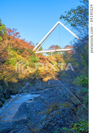 高津堂 高津堂 羽卷橋 紅葉秋景 84195824