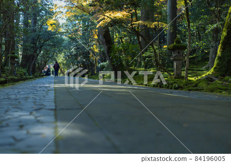 Natadera 秋葉風景 Natadera 秋葉風景 84196005