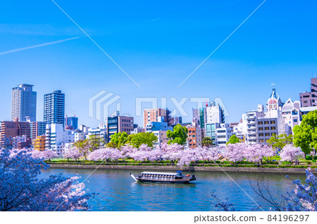 大阪市和大川的櫻花 大阪市和大川的櫻花 84196297