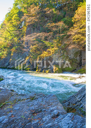 高津堂 高津堂 秋葉與秋景 84196361