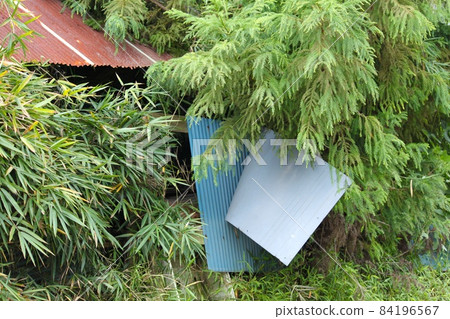 廢棄的房子 廢棄的房子 84196567