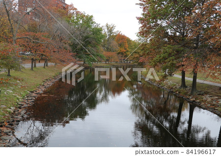 Boston, USA Autumn scenery Boston, USA Autumn scenery 84196617