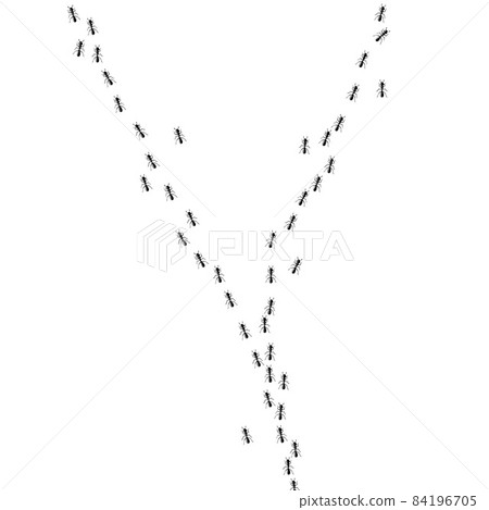 Ants walking in trail. Ant path isolated in white background. Vector illustration 84196705