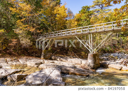 Agematsu Town, Nagano Prefecture A walking path over a mountain stream in the Akasawa Natural Recreation Forest surrounded by autumn leaves 84197058