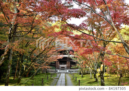 一休寺（參道/本堂）[京都府京田邊市] 84197305