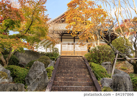 充滿秋色的大摩寺奧之院 84197866