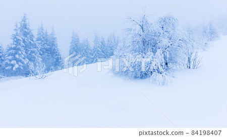Winter trees in mountains covered with fresh snow Winter trees in mountains covered with fresh snow 84198407