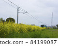 油菜花和JR加古川線（兵庫縣加古川市） 84199087