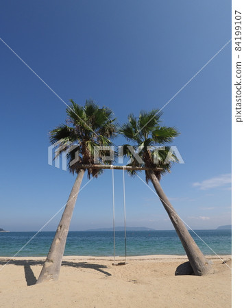福岡縣絲島市 Palm Tree Blanco 福岡縣絲島市 Palm Tree Blanco 84199107