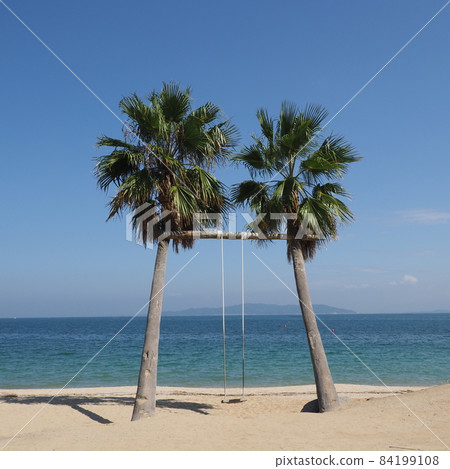 福岡縣絲島市 Palm Tree Blanco 福岡縣絲島市 Palm Tree Blanco 84199108