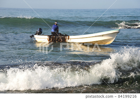 小船釣海帶 小船釣海帶 84199216