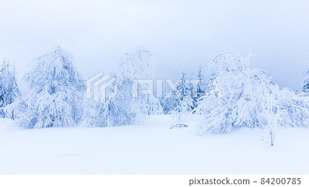 Winter trees in mountains covered with fresh snow Winter trees in mountains covered with fresh snow 84200785